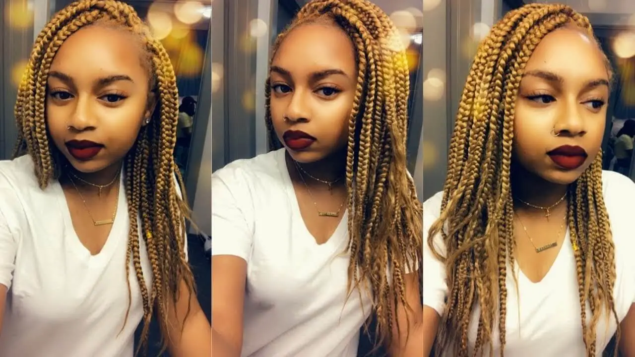 Honey Blonde Box Braids On Dark Skin - Jamaican Hairstyles Blog.
